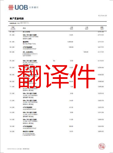 銀行流水明細(xì)錄入翻譯件